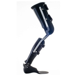 Μηροκνημοποδικοί Κηδεμόνες